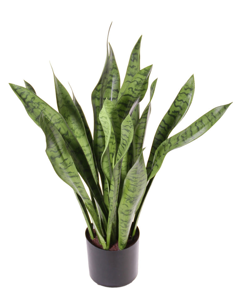 Florals | Sanseveria, (Mother In Laws Tongue), Artificial, in pot, 80cm Artificial Florals