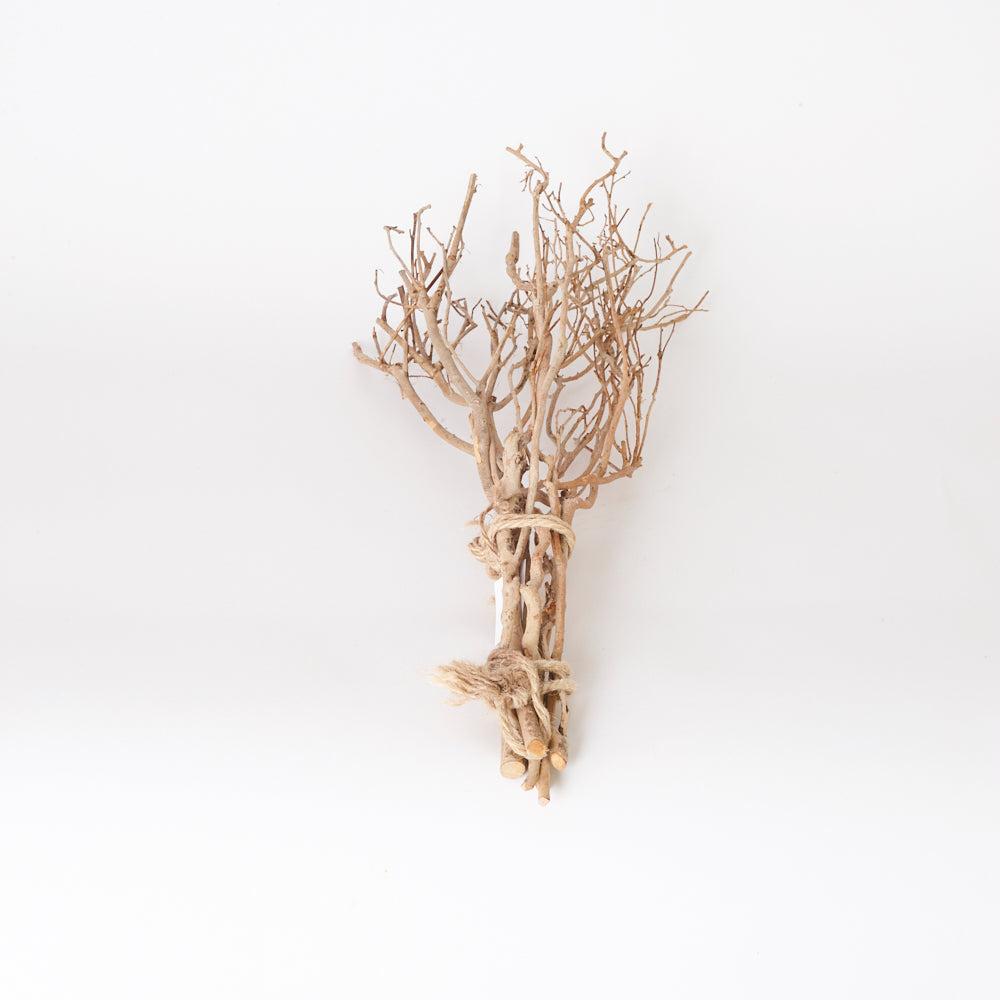 Florals | Tea Branches, Dried, Natural Brown, 65cm, Bunch Dried Florals