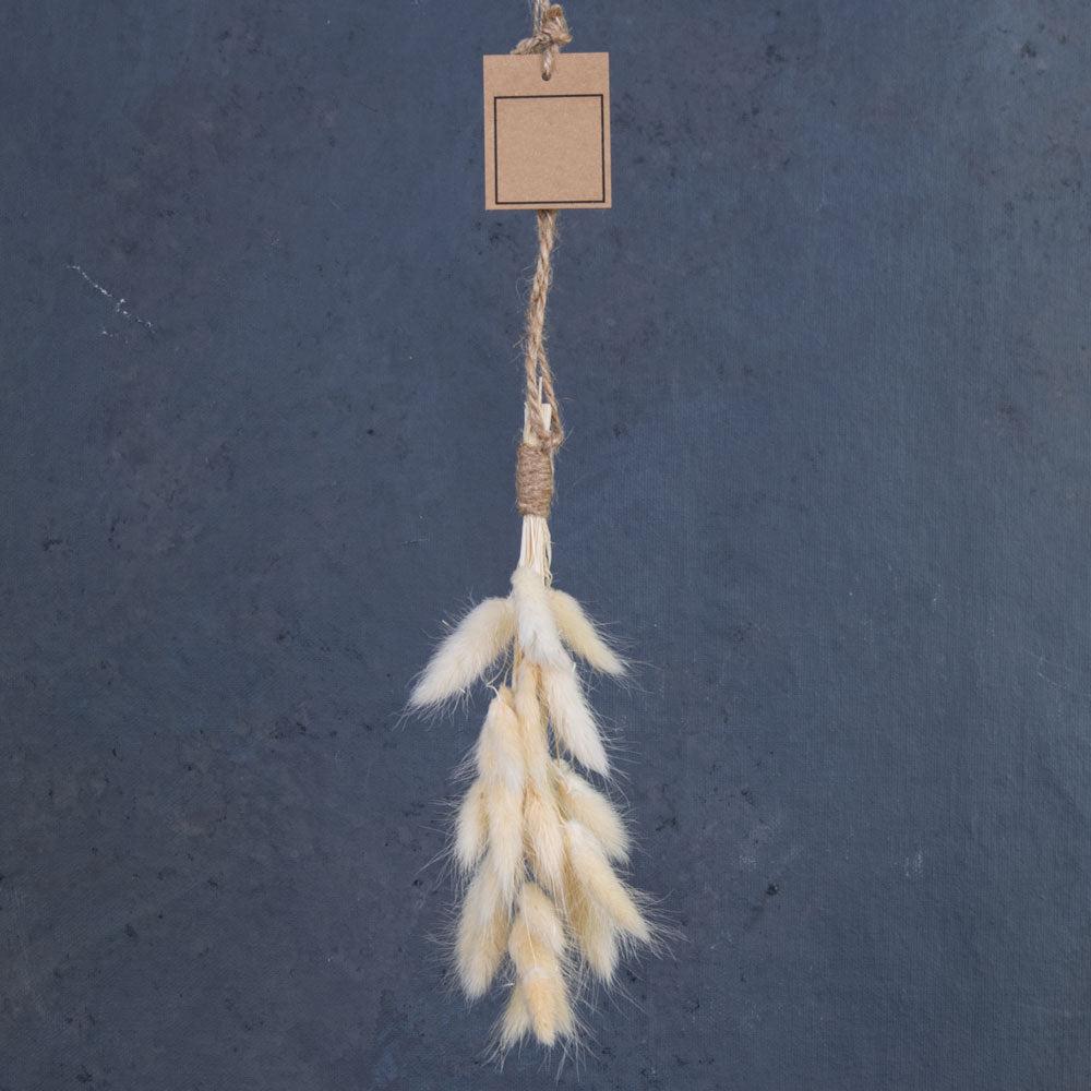 Garlands & Hangers | Lagurus, Hanging Bobbin, Dried, Bleached White, 20cm Dried Dried Fillers & Foliage