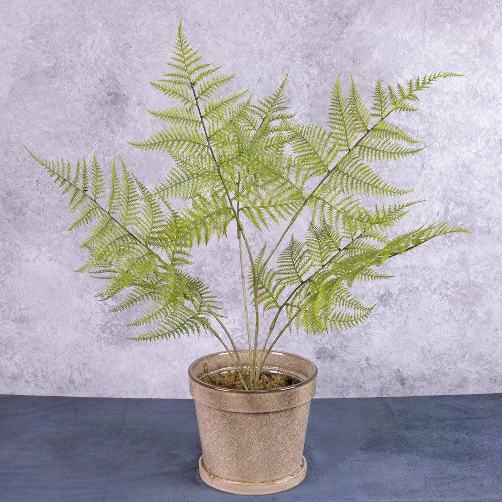 Large Artificial Plants & Trees | Fern, Broad Buckler (Dryopteris), Artificial, 70cm Artificial Artificial Indoor Plants