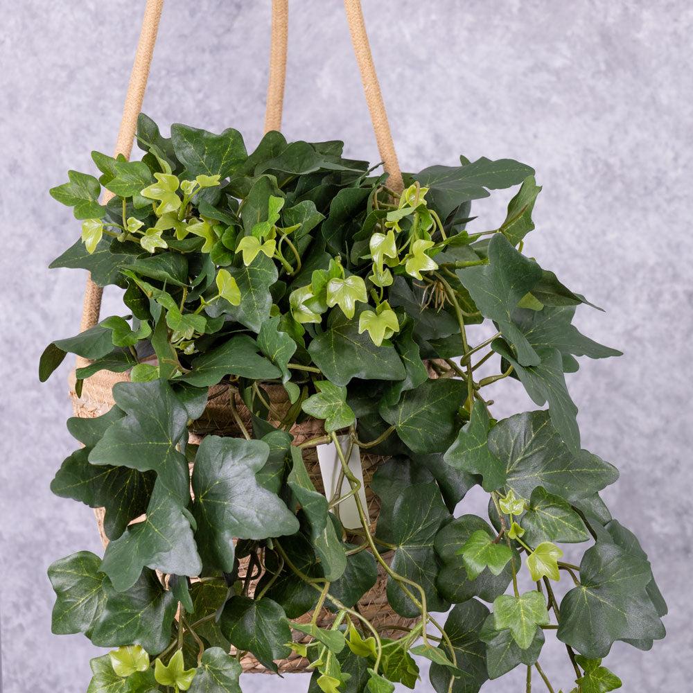 Large Artificial Plants & Trees | Ivy (hedera gala) Hanger, Artificial, 65cm, UV Artificial Artificial Indoor Plants