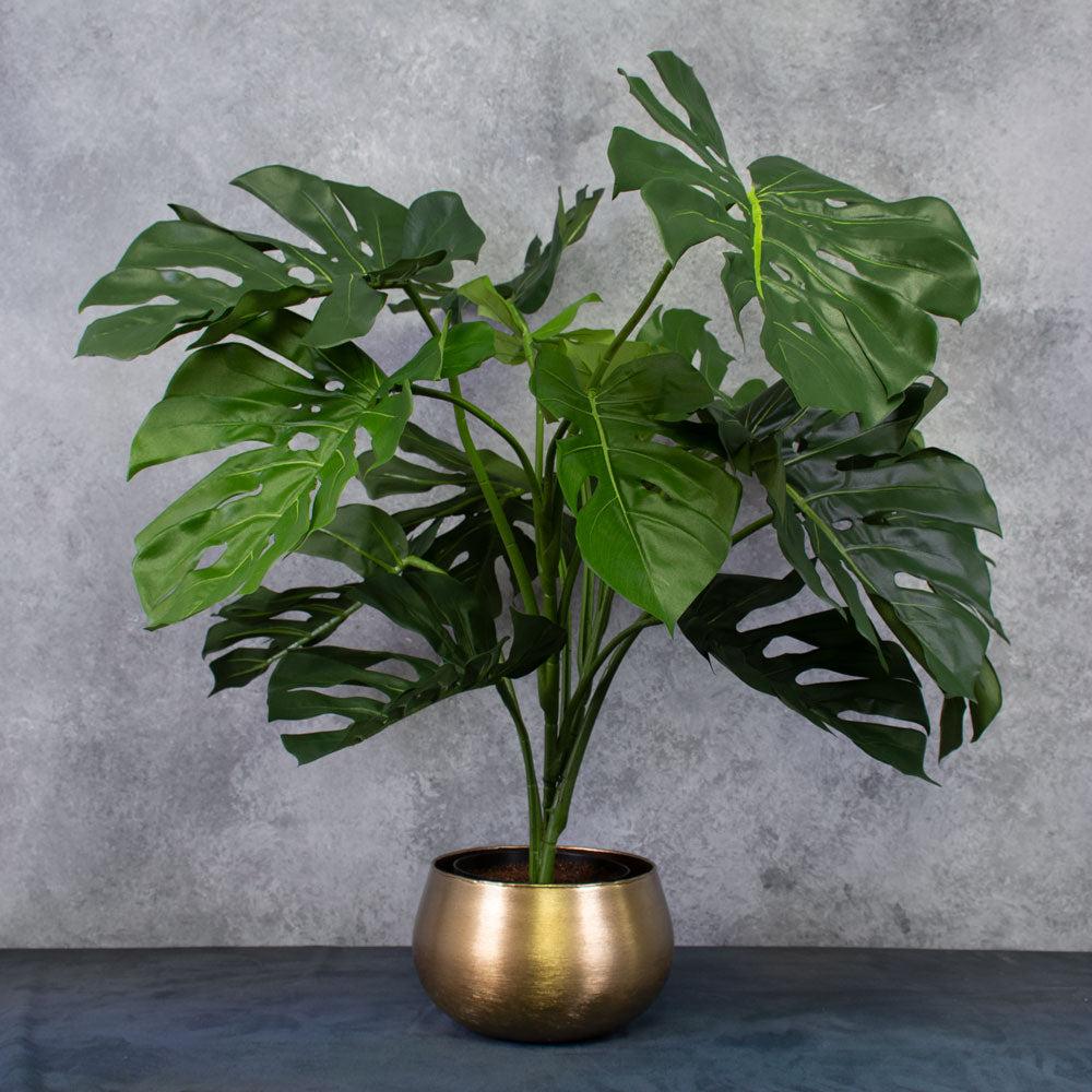 Large Artificial Plants & Trees | Monstera Plant (Swiss Cheese Plant), Artificial, 90cm Artificial Artificial Indoor Plants