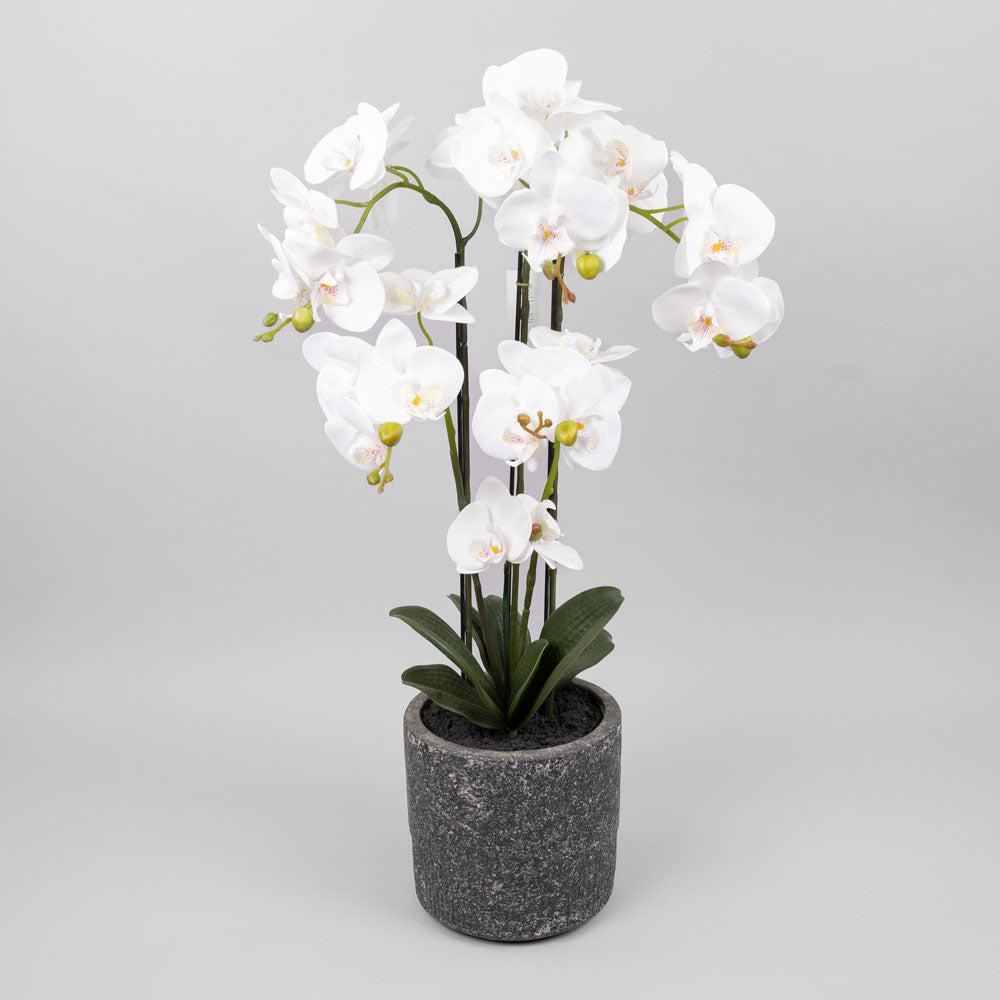 Large Artificial Plants & Trees | Phalaenopsis Orchid Plant, Artificial, White, In Pot, 72cm Artificial Artificial Indoor Plants