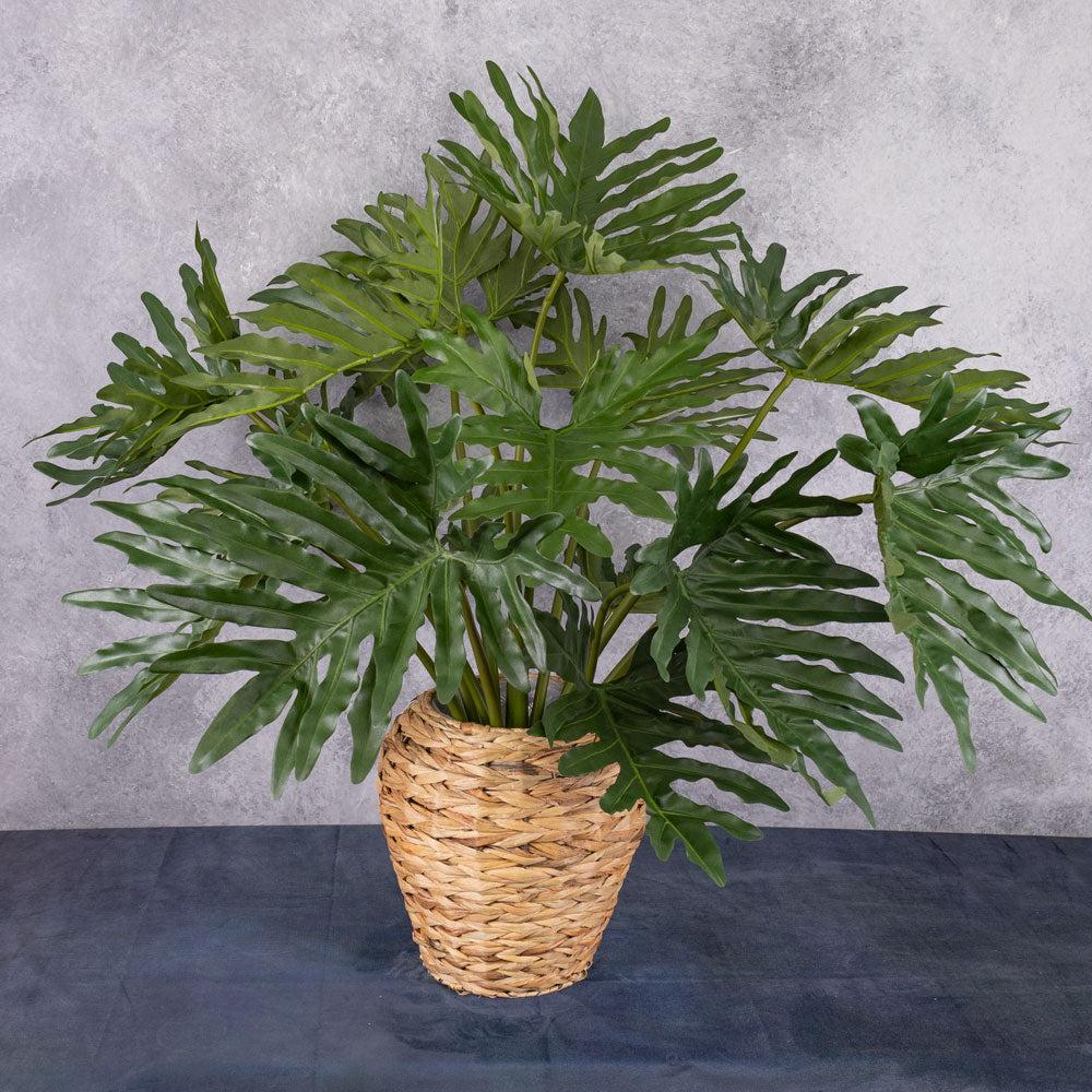 Large Artificial Plants & Trees | Philodendron Selloum Plant, Artificial, D 115cm H 80cm, in Pot Artificial Artificial Indoor Plants