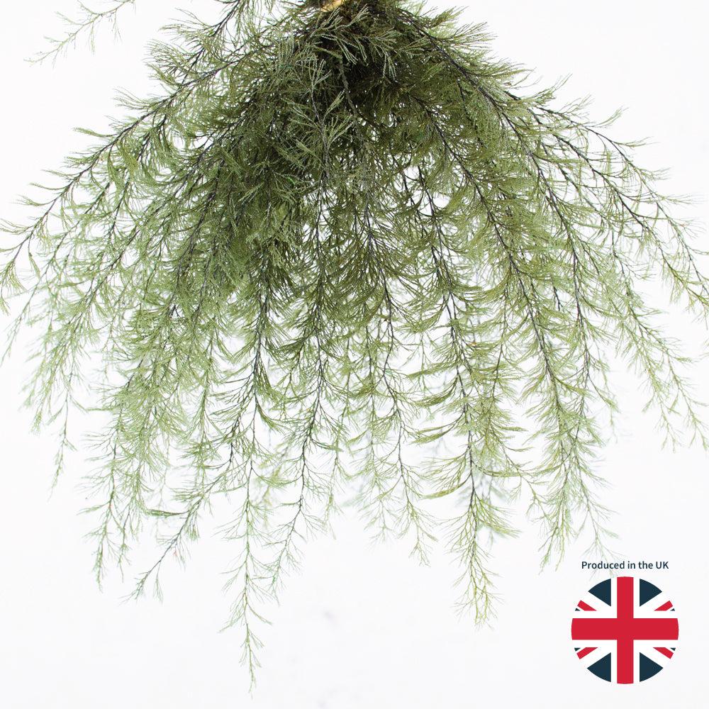 Preserved Fillers & Foliages | Air Fern, Preserved, Dark Green, Bunch, UK Preserved Fillers & Foliages