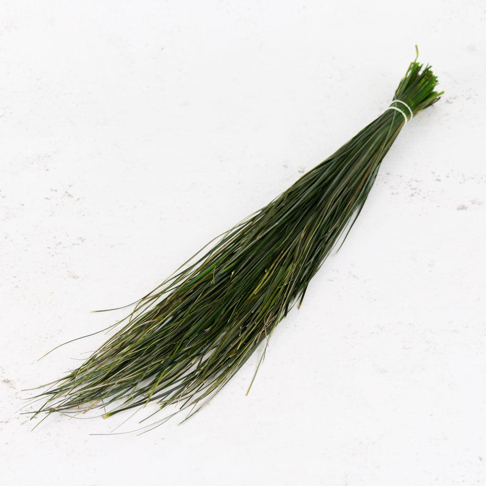 Preserved Fillers & Foliages | Bear Grass, Preserved, Green, 100g Preserved Preserved Fillers & Foliages