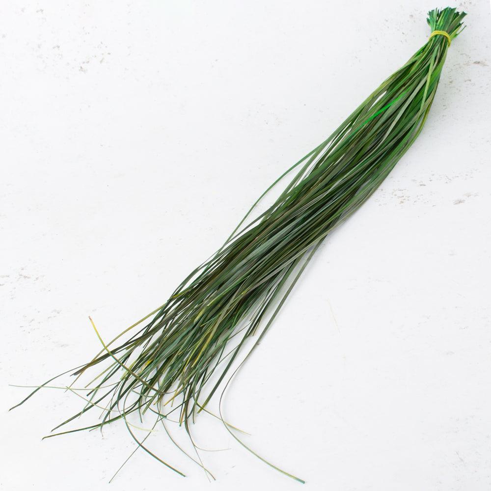 Preserved Fillers & Foliages | Beargrass, Preserved, Green, 100g Bunch Preserved Preserved Fillers & Foliages