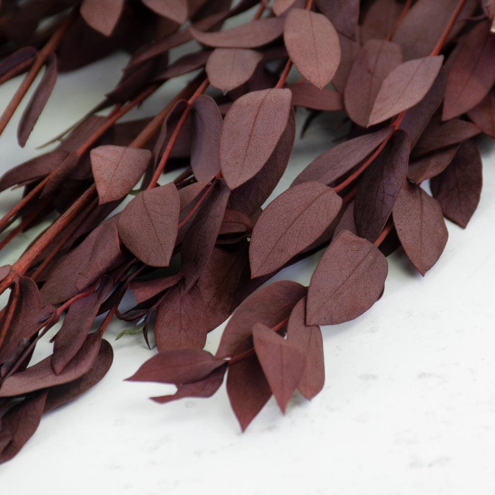 Preserved Fillers & Foliages | Eucalyptus Parvifolia, Preserved, Red, 150g Preserved Preserved Eucalyptus