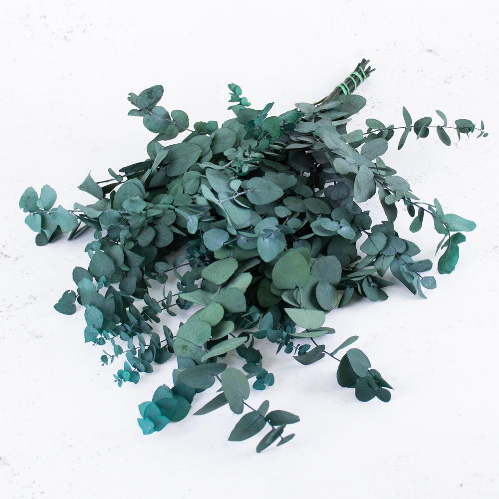 Preserved Fillers & Foliages | Eucalyptus Stuartiana, Preserved, Green/Blue, 150g Preserved Preserved Eucalyptus