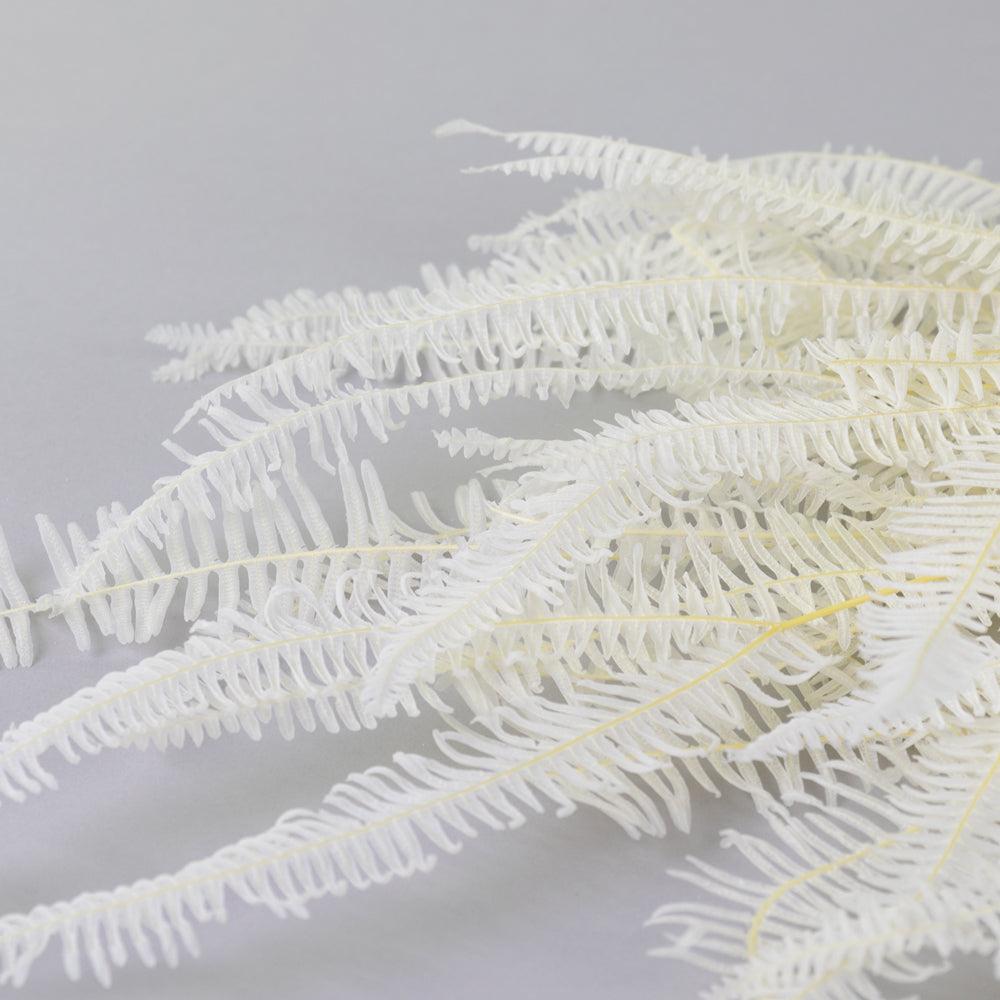 Preserved Fillers & Foliages | Fern, Coral Leaf, Preserved, Bleached White, 10 stem Bunch Preserved Preserved Fillers & Foliages