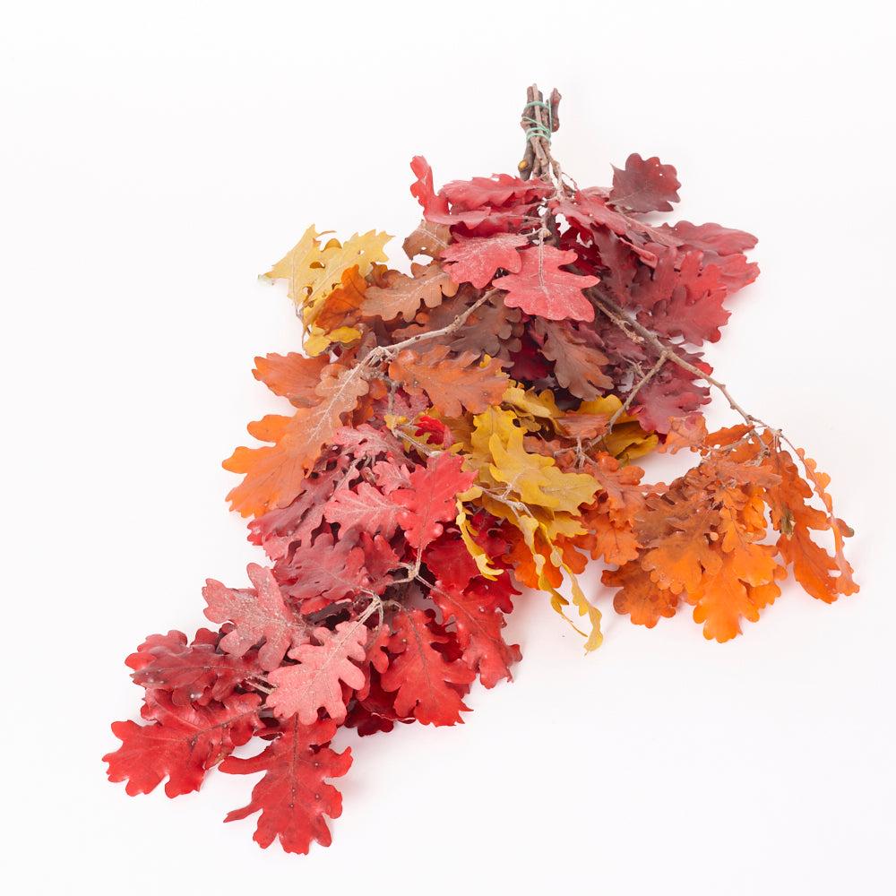 Preserved Fillers & Foliages | Oak Foliage, Preserved, Autumn Colours, 150g Preserved Preserved Fillers & Foliages