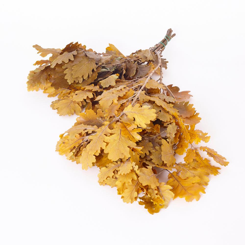 Preserved Fillers & Foliages | Oak Foliage, Preserved, Yellow, 150g Bunch Preserved Preserved Fillers & Foliages