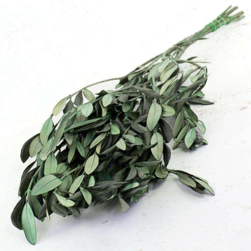 Preserved Fillers & Foliages | Olive Foliage, Preserved, Green, 150g Preserved Preserved Fillers & Foliages