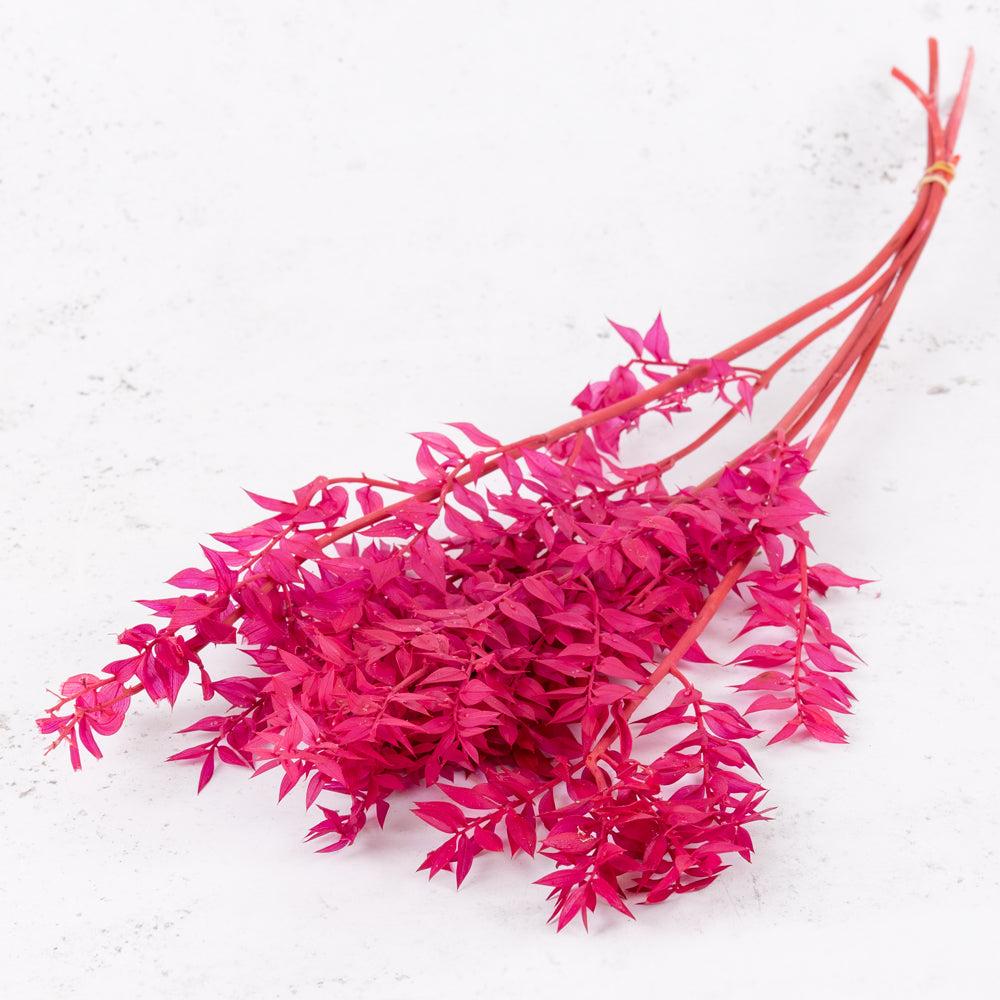 Preserved Fillers & Foliages | Preserved Ruscus, Bleached Fuchsia, 5 Stem Bunch Preserved Preserved Fillers & Foliages