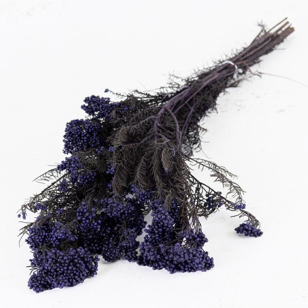 Preserved Flowers | Diosmi (Rice Flower), Preserved, Blue Lavender, 120g Preserved Preserved Fillers & Foliages