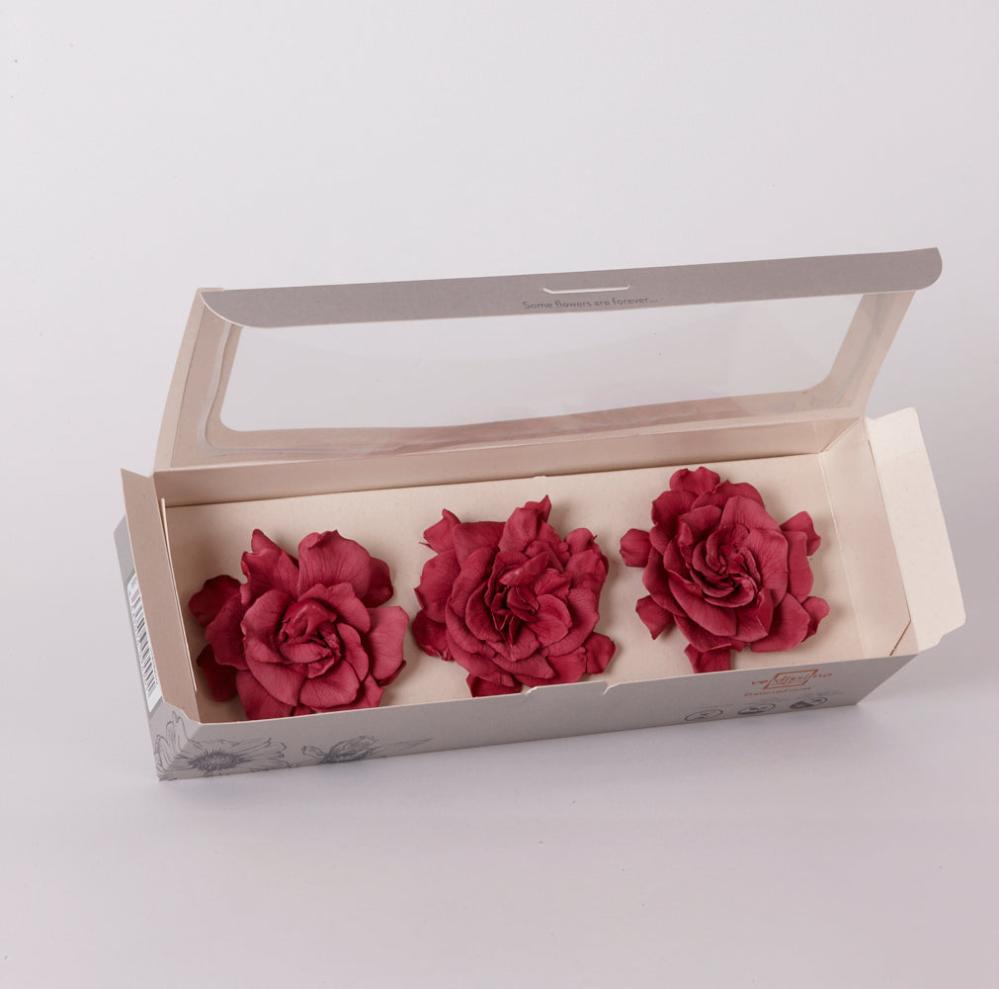 Preserved Flowers | Gardenia Heads Preserved, Cranberry, Box x 3 Preserved Preserved Flowers