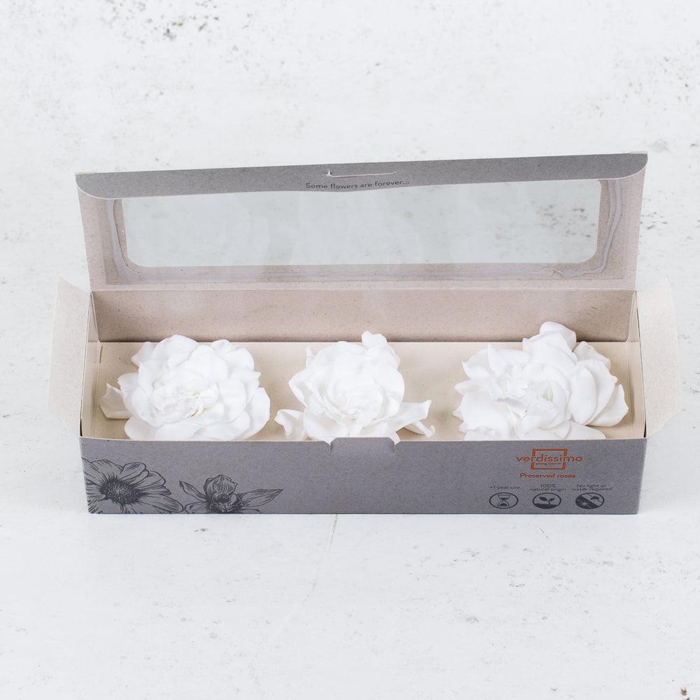 Preserved Flowers | Gardenia Heads Preserved, White, Box x 3 Preserved Preserved Flowers