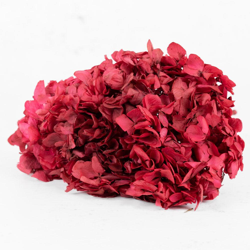 Preserved Flowers | Hydrangea, Verdissimo, Preserved, Dark Pink Preserved Preserved Flowers