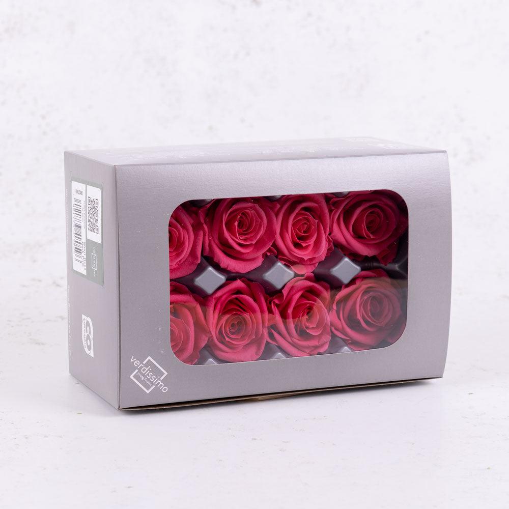 Preserved Flowers | Rose Heads, Preserved, Med, Dark Pink, Box 8 Preserved Preserved Flowers