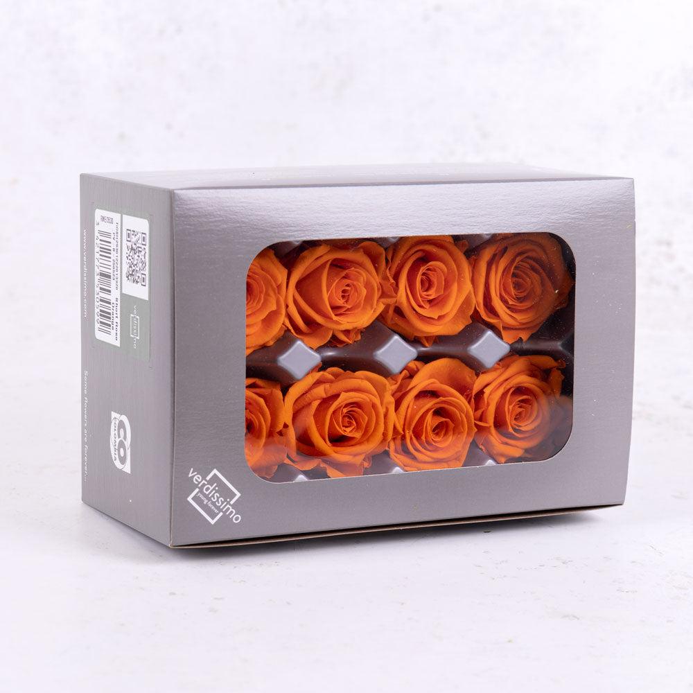 Preserved Flowers | Rose Heads, Preserved, Med, Orange, Box 8 Preserved Preserved Flowers