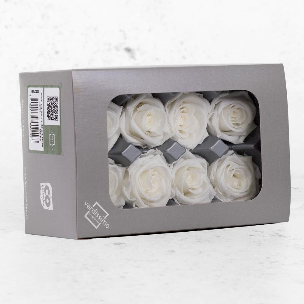 Preserved Flowers | Rose Heads, Preserved, Med, White, Box 8 Preserved Preserved Flowers