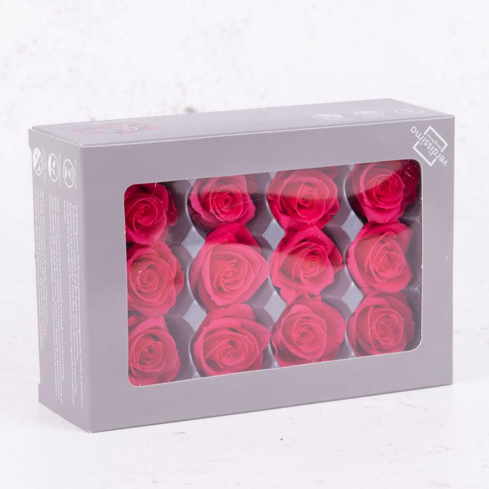 Preserved Flowers | Rose Heads, Preserved, Mini, Dark Pink, Box 12 Preserved Preserved Flowers