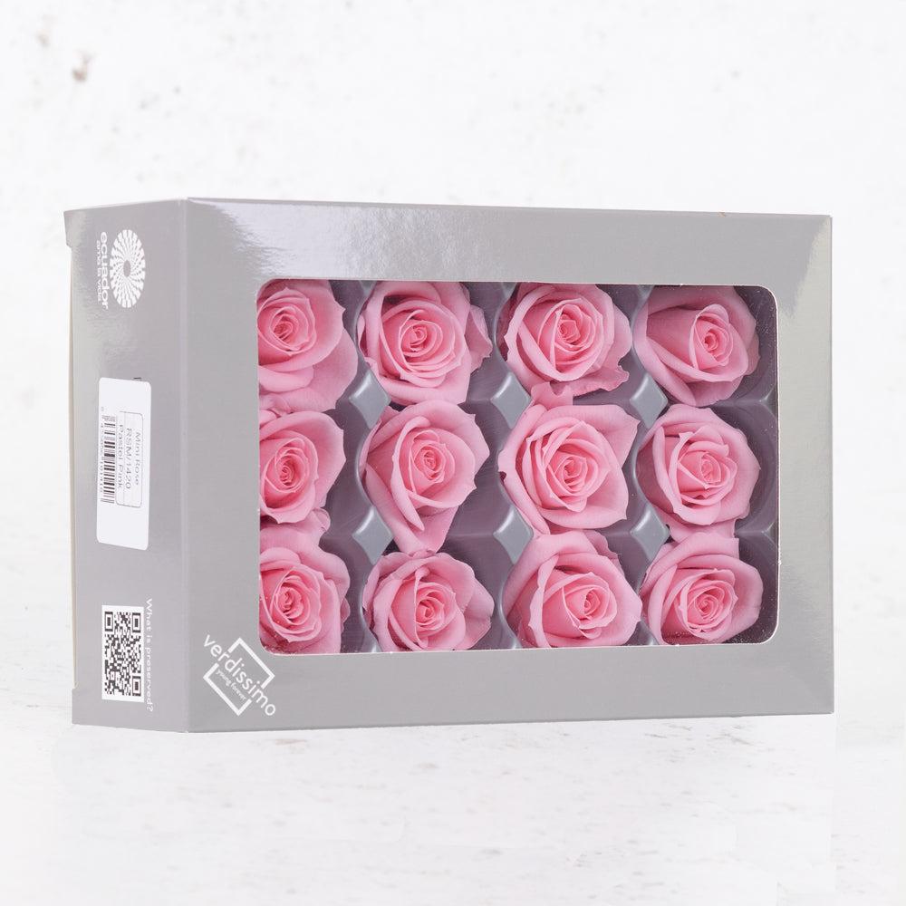 Preserved Flowers | Rose Heads, Preserved, Mini, Pastel Pink, Box 12 Preserved Preserved Flowers