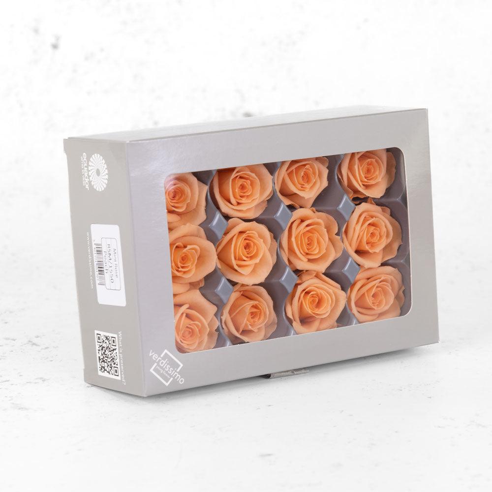 Preserved Flowers | Rose Heads, Preserved, Mini, Peach,Box 12 Preserved Preserved Flowers