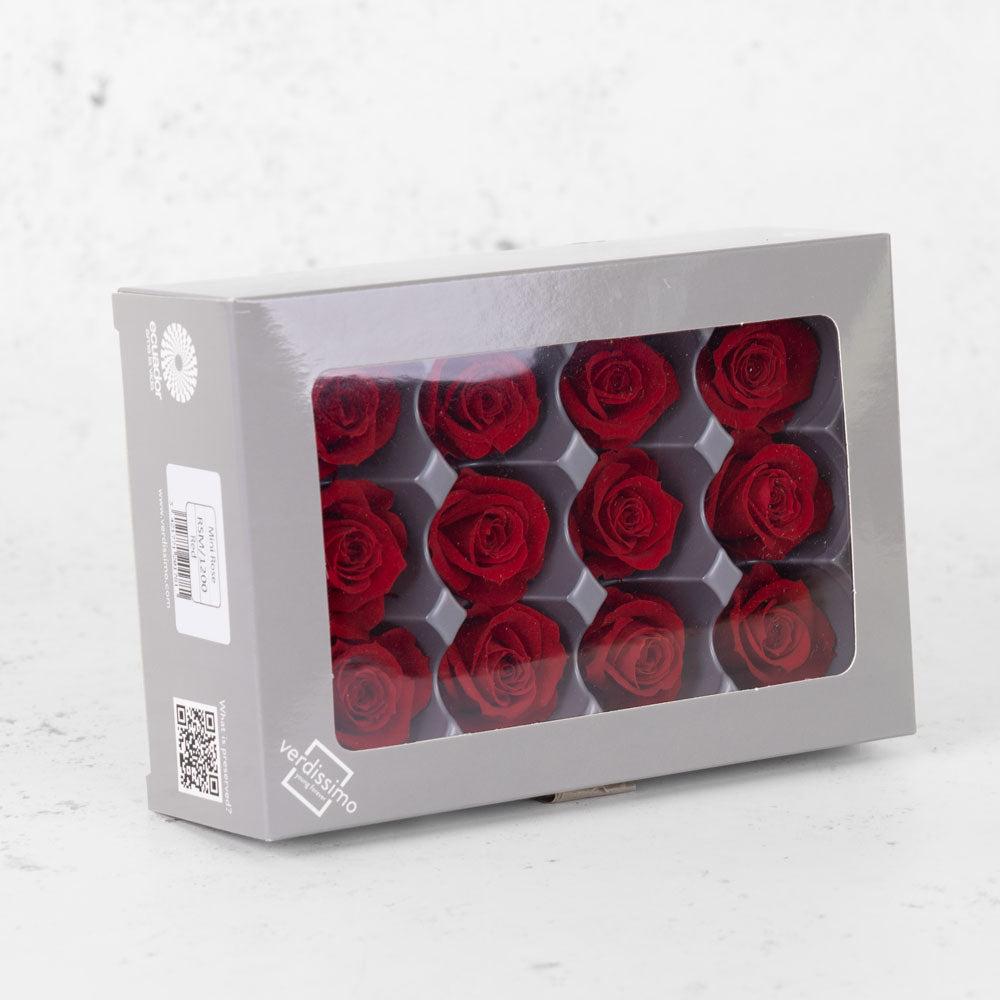 Preserved Flowers | Rose Heads, Preserved, Mini, Red, Box 12 Preserved Preserved Flowers