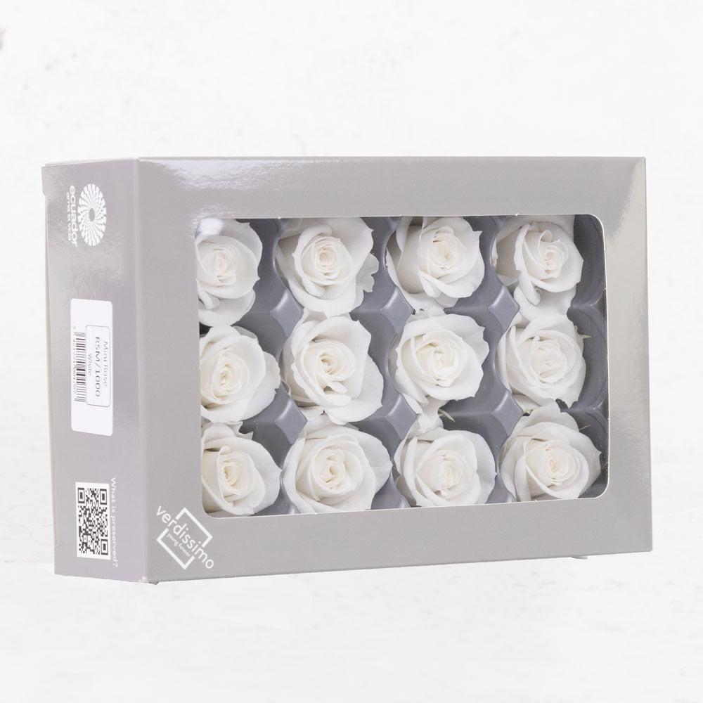 Preserved Flowers | Rose Heads, Preserved, Mini, White, Box 12 Preserved Preserved Flowers