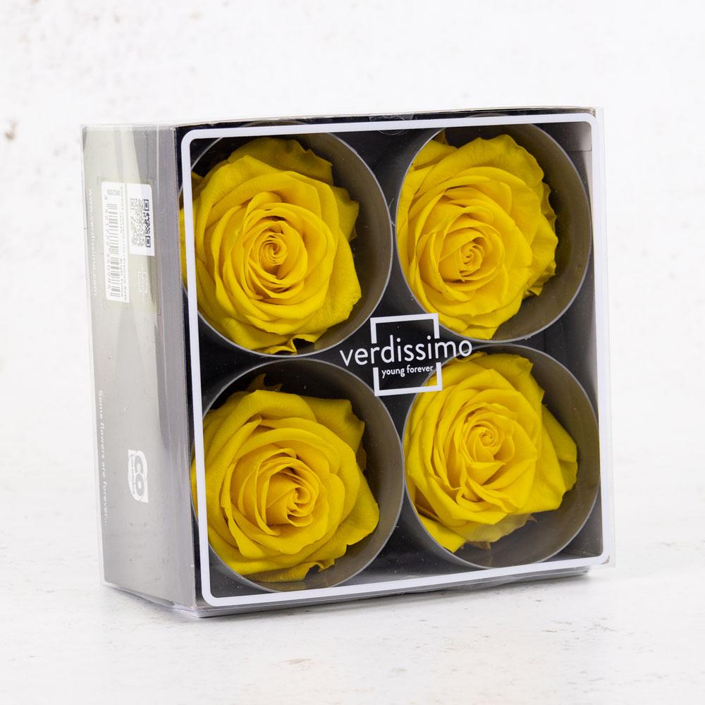 Preserved Flowers | Rose Heads, Preserved, Premium, Bright Yellow, Box 4 Preserved Preserved Flowers