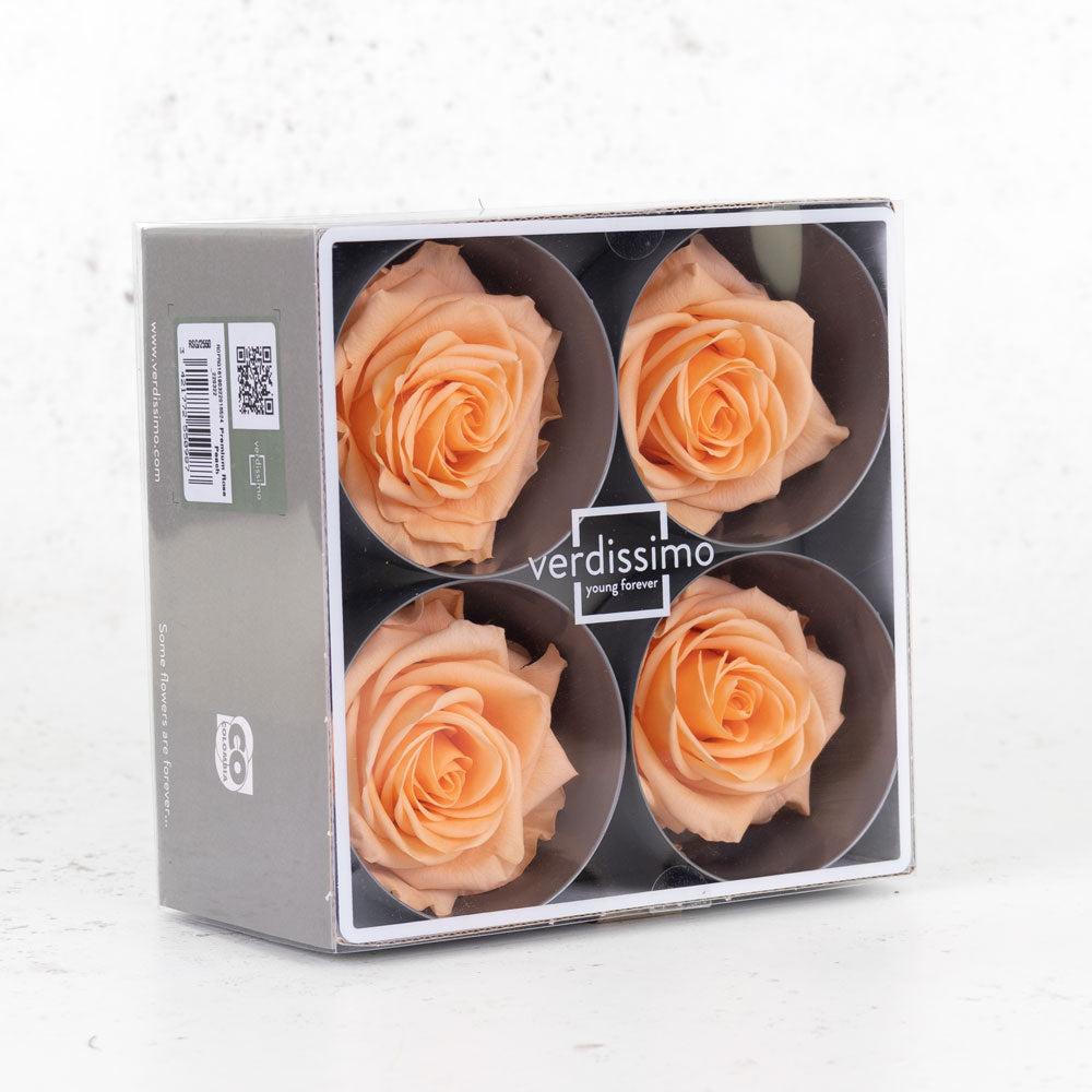 Preserved Flowers | Rose Heads, Preserved, Premium, Peach, Box 4 Preserved Preserved Flowers