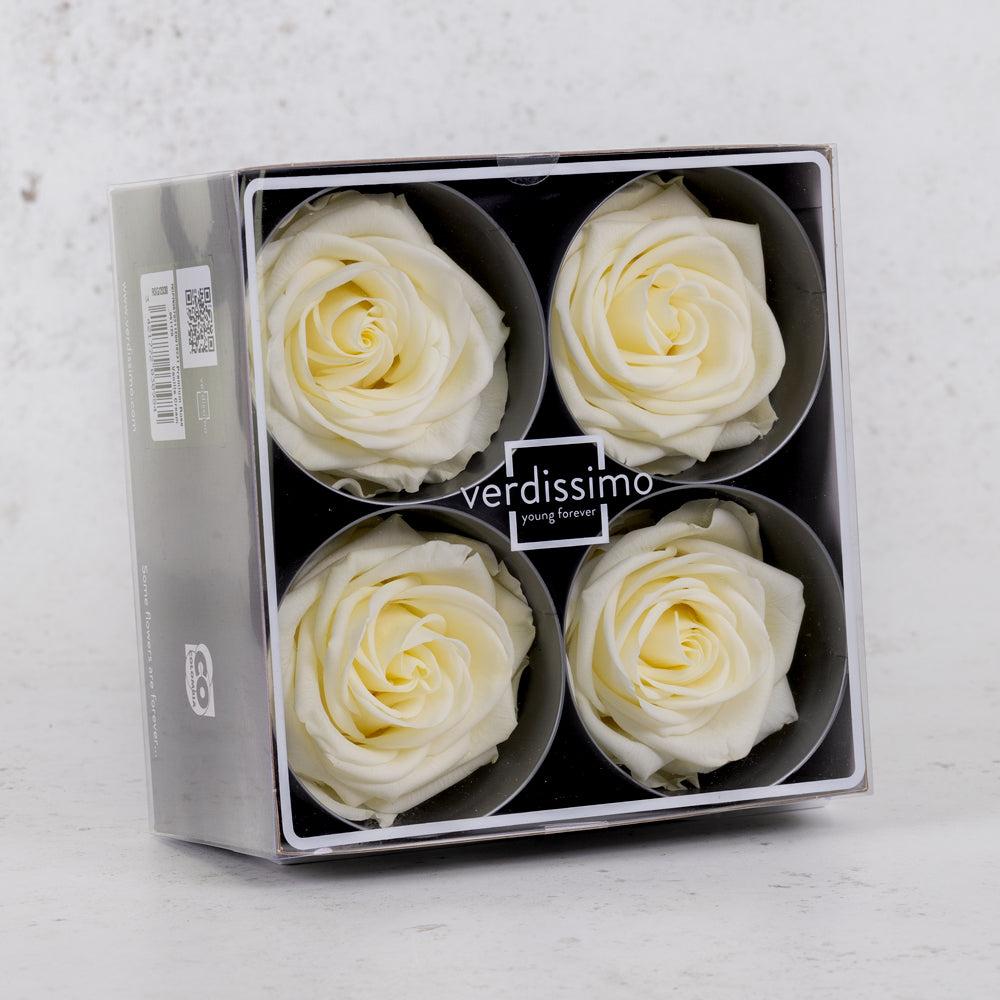 Preserved Flowers | Rose Heads, Preserved, Premium, Vanilla, Box 4 Preserved Preserved Flowers