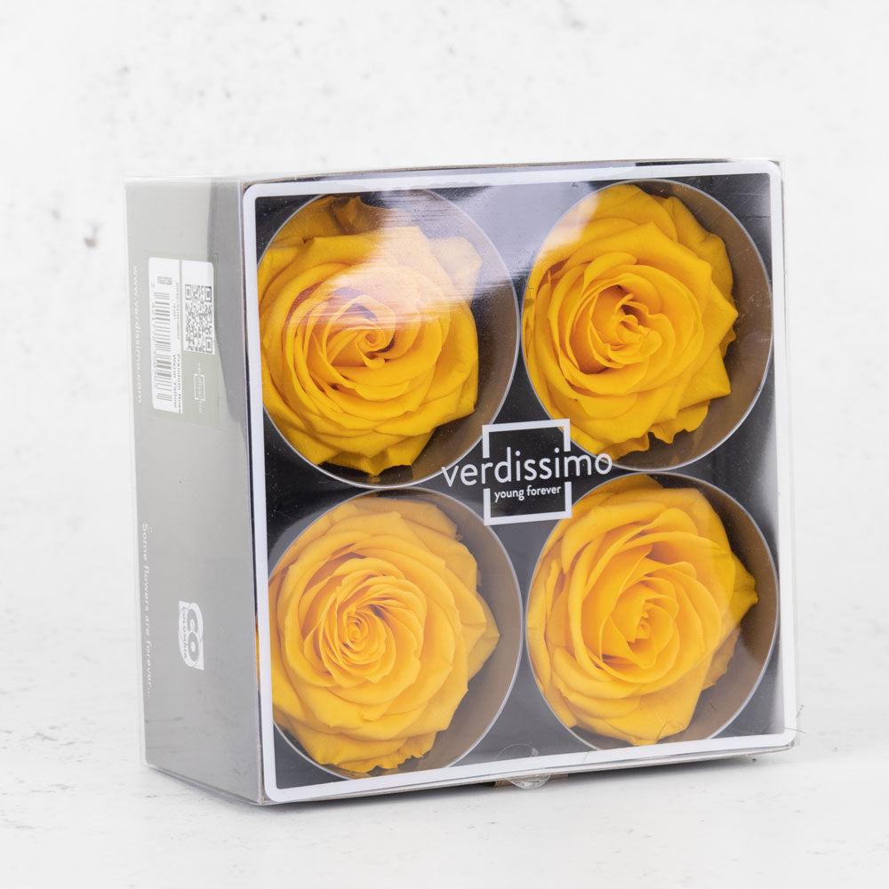 Preserved Flowers | Rose Heads, Preserved, Premium, Warm Yellow, Box 4 Preserved Preserved Flowers