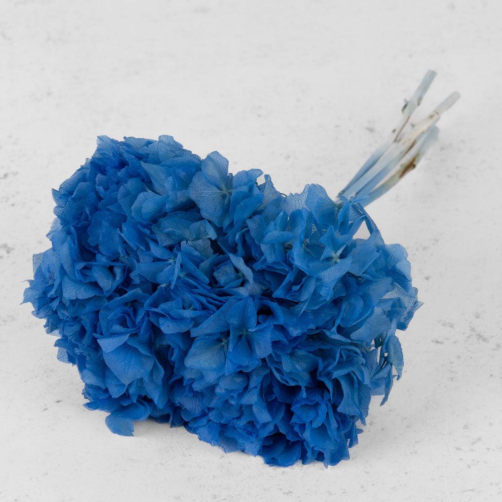 Preserved Hydrangeas | Hydrangea Preserved, Blue, Bunch Preserved Preserved Flowers