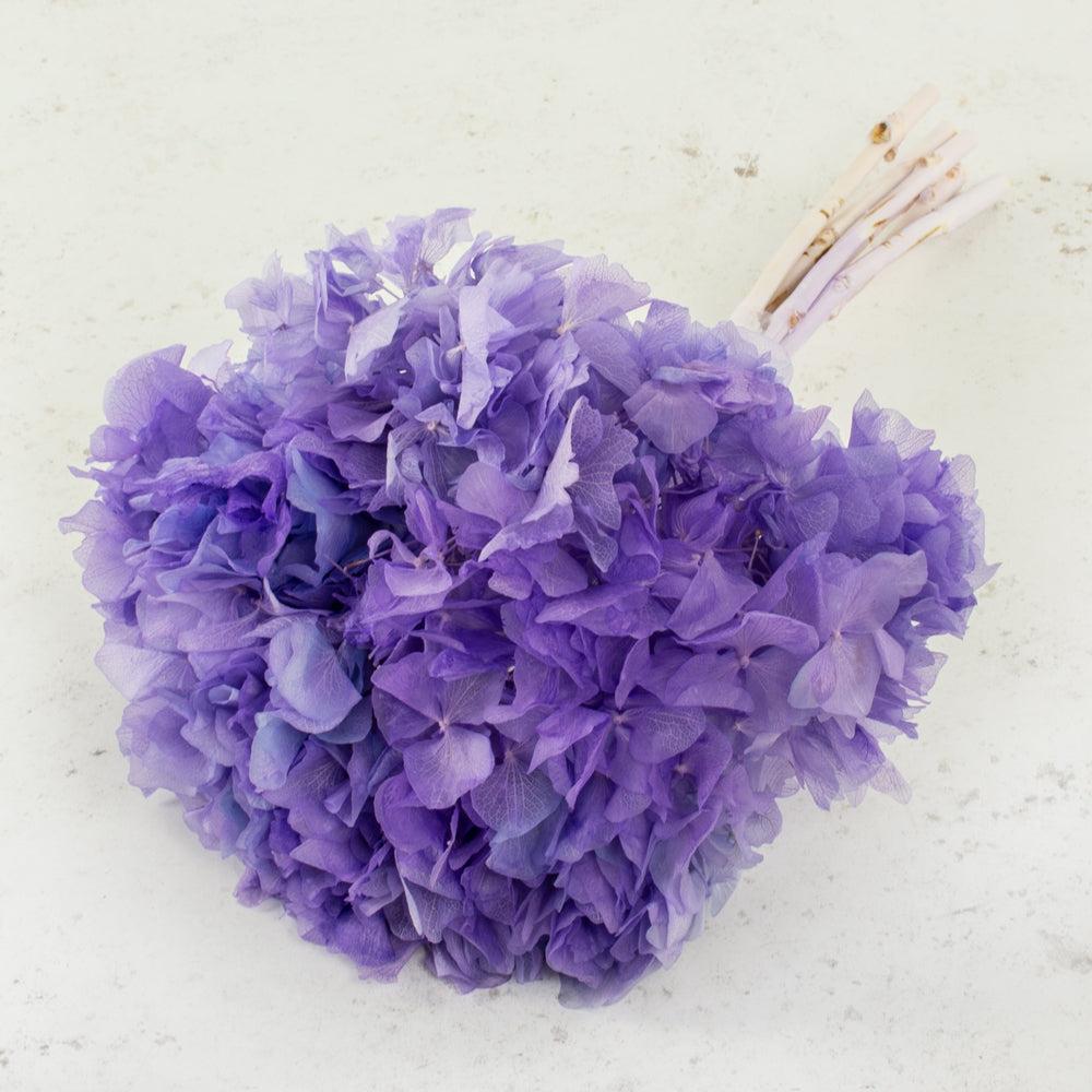 Preserved Hydrangeas | Hydrangea, Preserved, Violet, Bunch Preserved Preserved Flowers