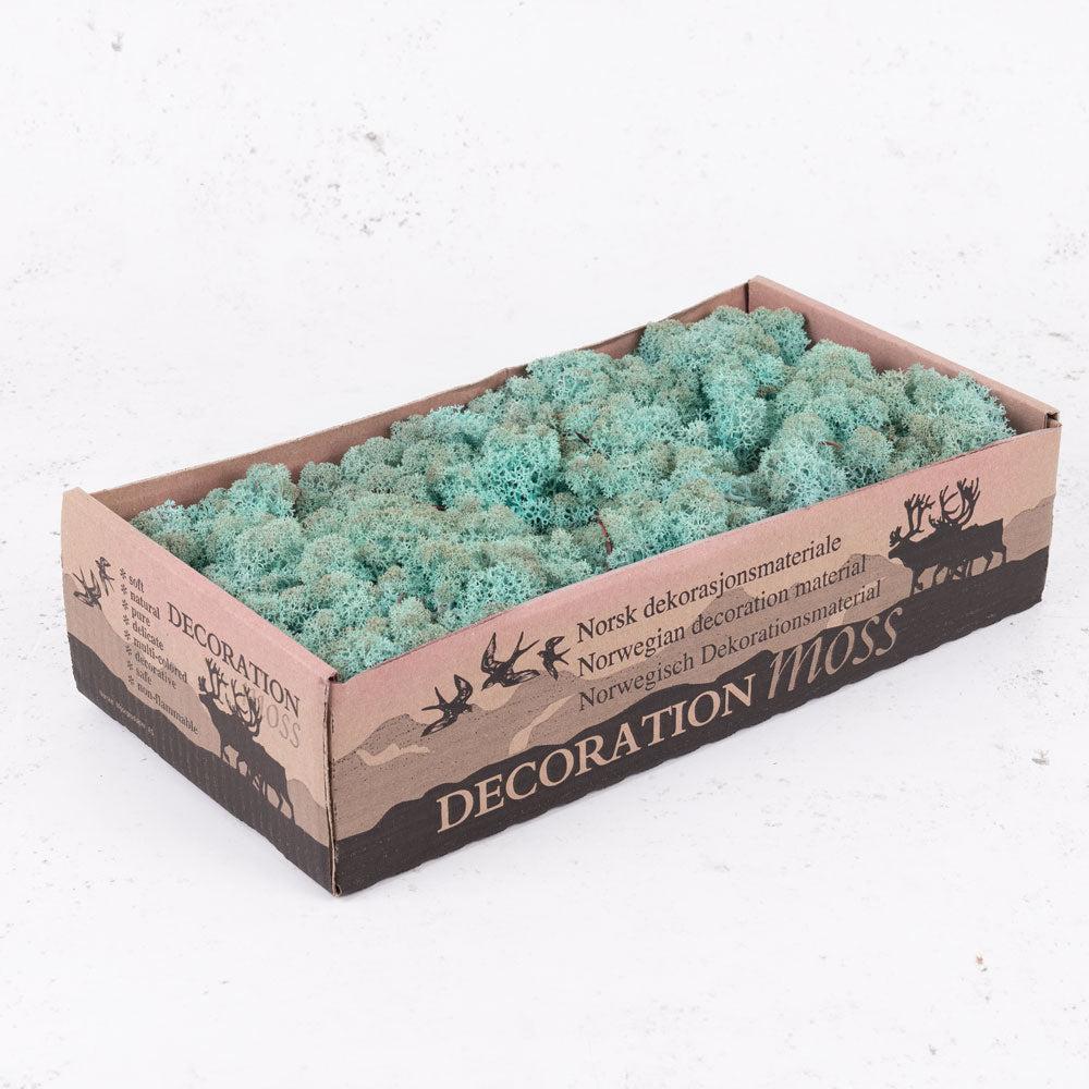 Preserved Moss | Icelandic Moss, Preserved, Aquamarine, 425g Preserved Preserved Moss