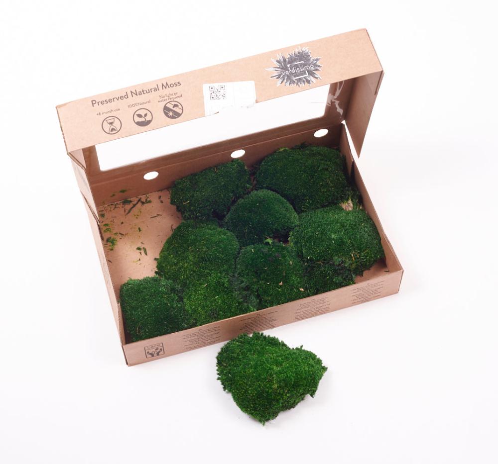 Preserved Products | Ball Moss, Preserved, Dark Green, 250g Box Preserved Preserved Moss