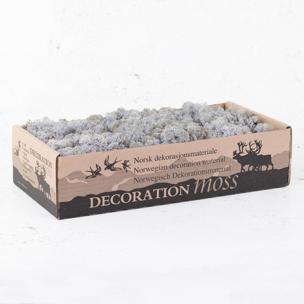 Preserved Products | Icelandic Moss, Preserved, Lavender, 425g Preserved Preserved Moss