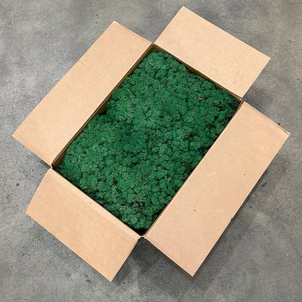 Preserved Products | Reindeer Moss, Preserved, Grass Green, 5kg Box Preserved Preserved Moss