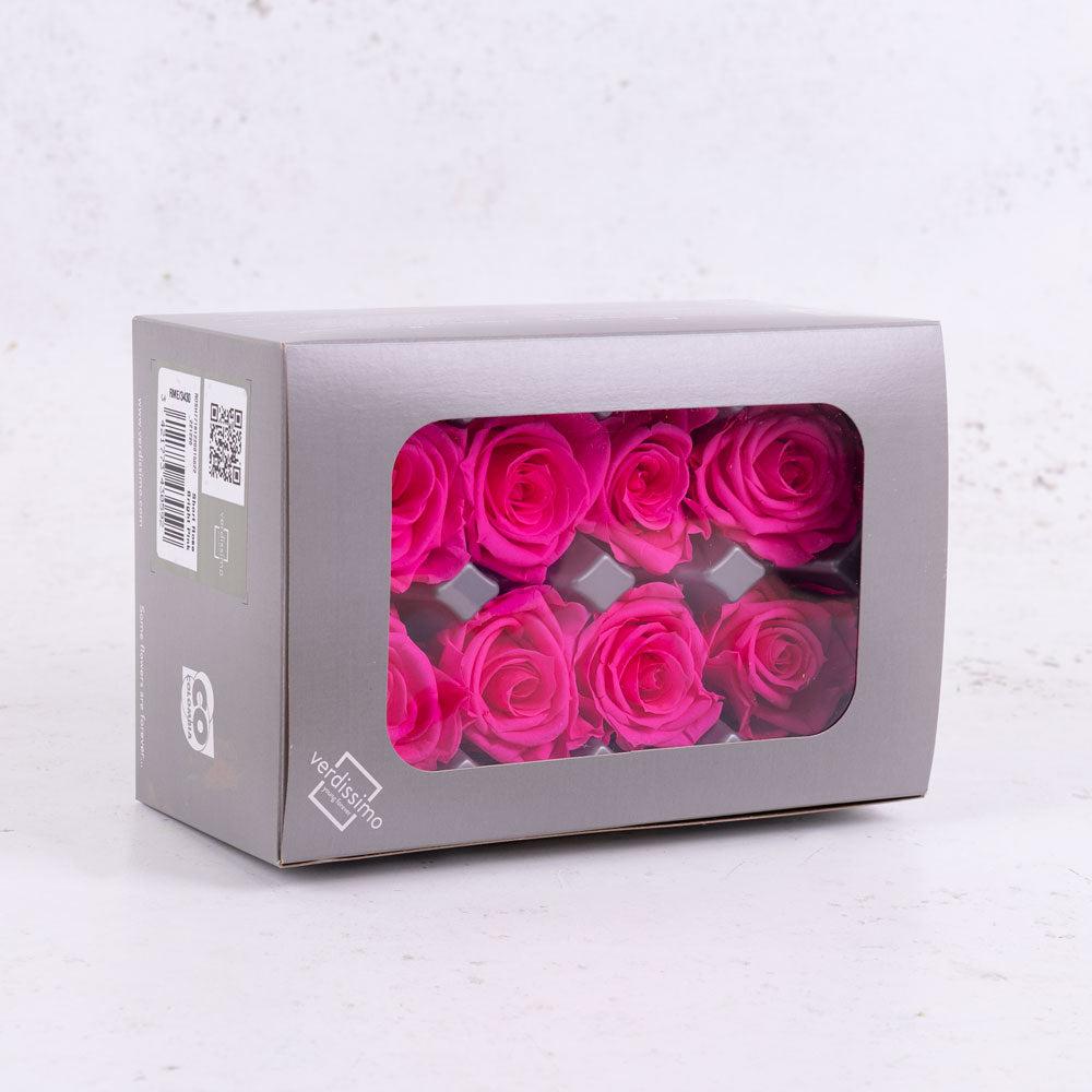 Preserved Roses | Rose Heads, Preserved, Med, Bright Pink, Box 8 Preserved Preserved Flowers