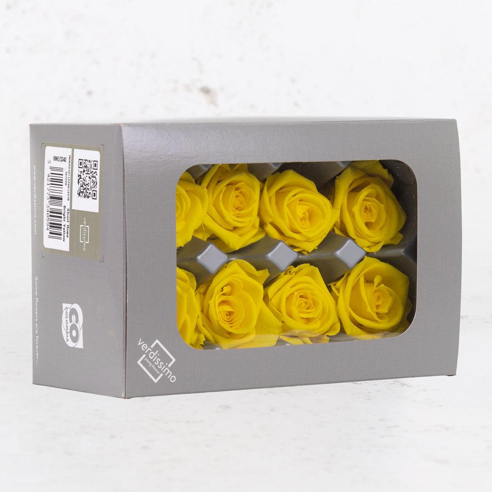 Preserved Roses | Rose Heads, Preserved, Med, Bright Yellow, Box 8 Preserved Preserved Flowers