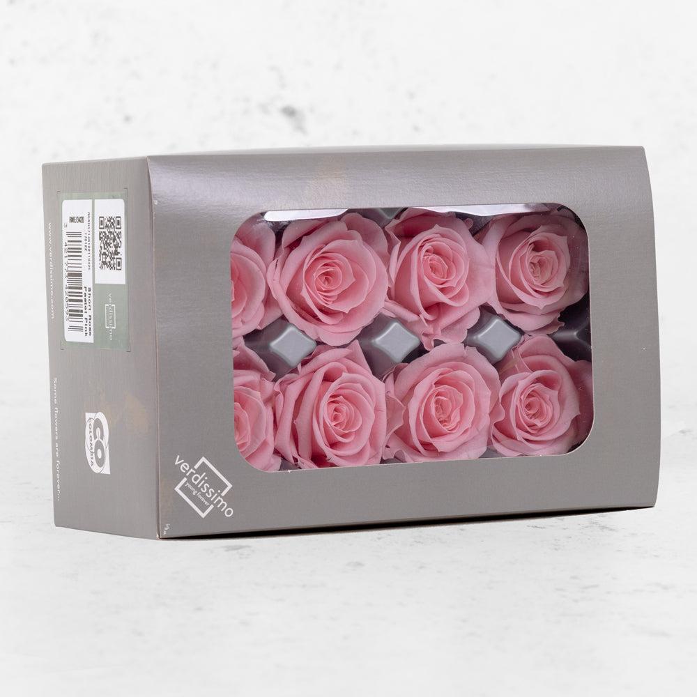 Preserved Roses | Rose Heads, Preserved, Med, Pastel Pink, Box 8 Preserved Preserved Flowers