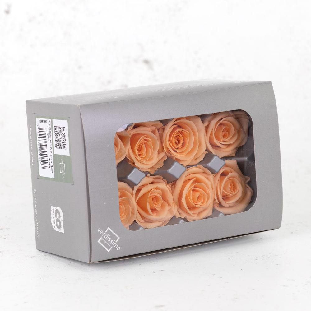 Preserved Roses | Rose Heads, Preserved, Med, Peach, Box 8 Preserved Preserved Flowers