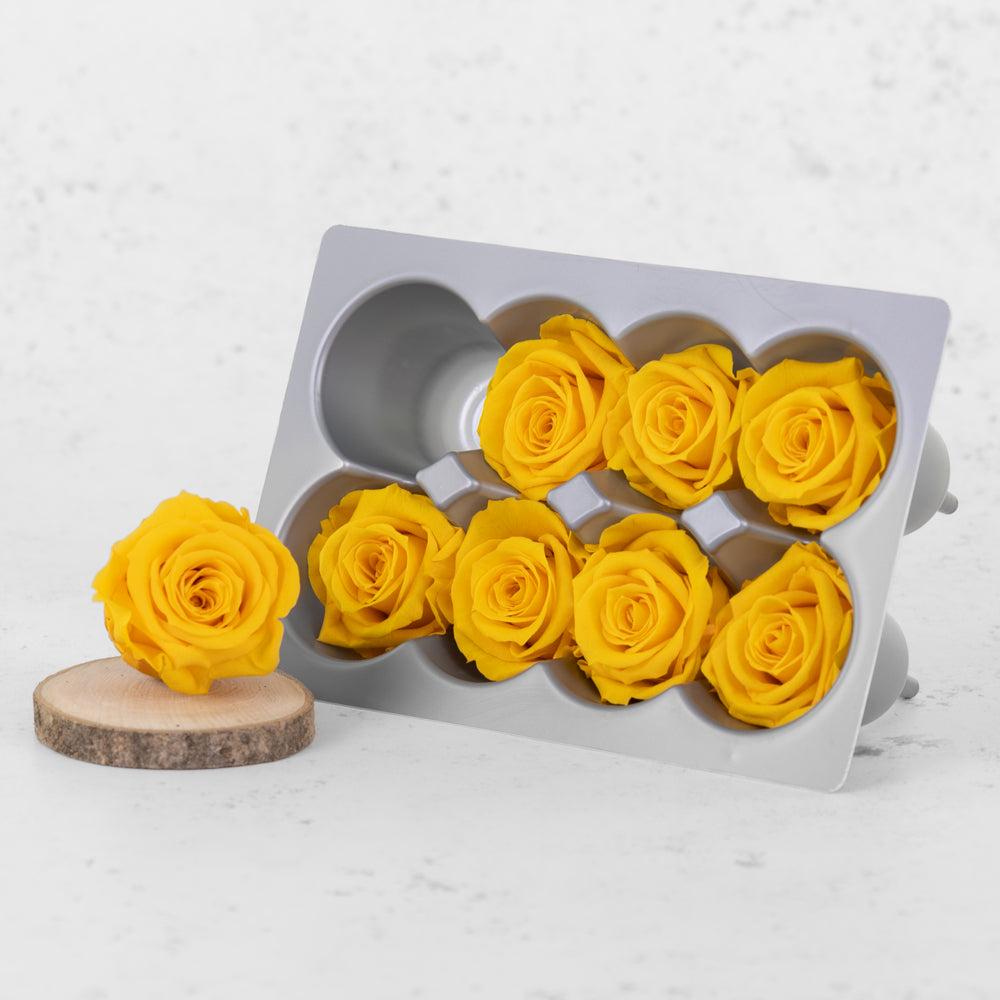 Preserved Roses | Rose Heads, Preserved, Med, Warm Yellow, Box 8 Preserved Preserved Flowers