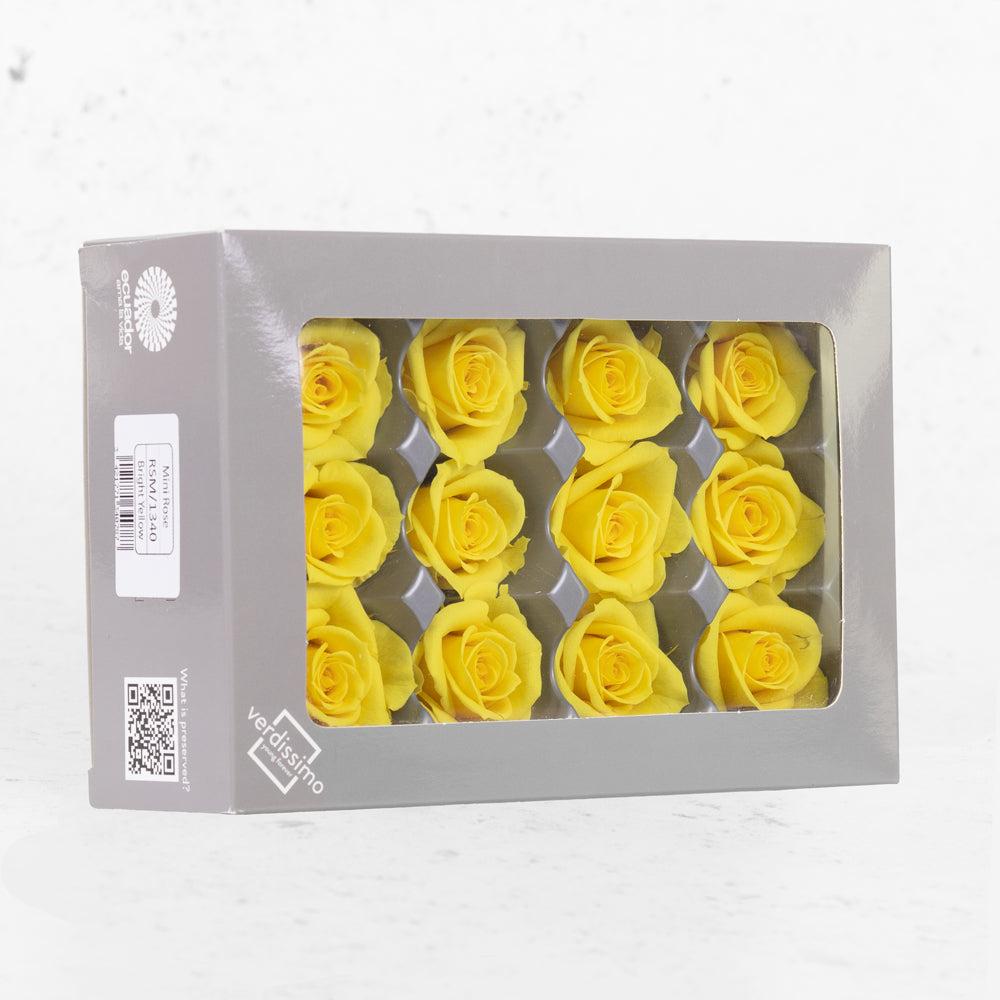 Preserved Roses | Rose Heads, Preserved, Mini, Bright Yellow, Box 12 Preserved Preserved Flowers