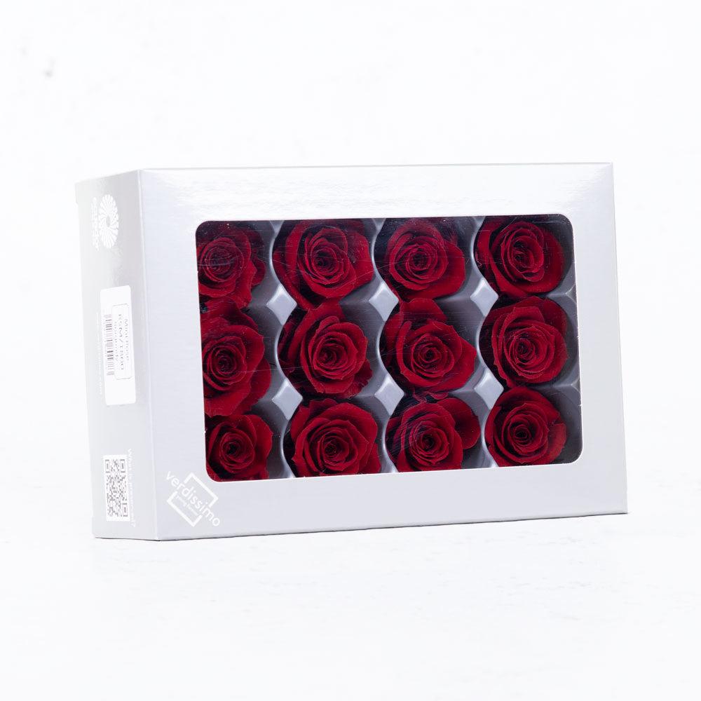 Preserved Roses | Rose Heads, Preserved, Mini, Burgundy, Box 12 Preserved Preserved Flowers