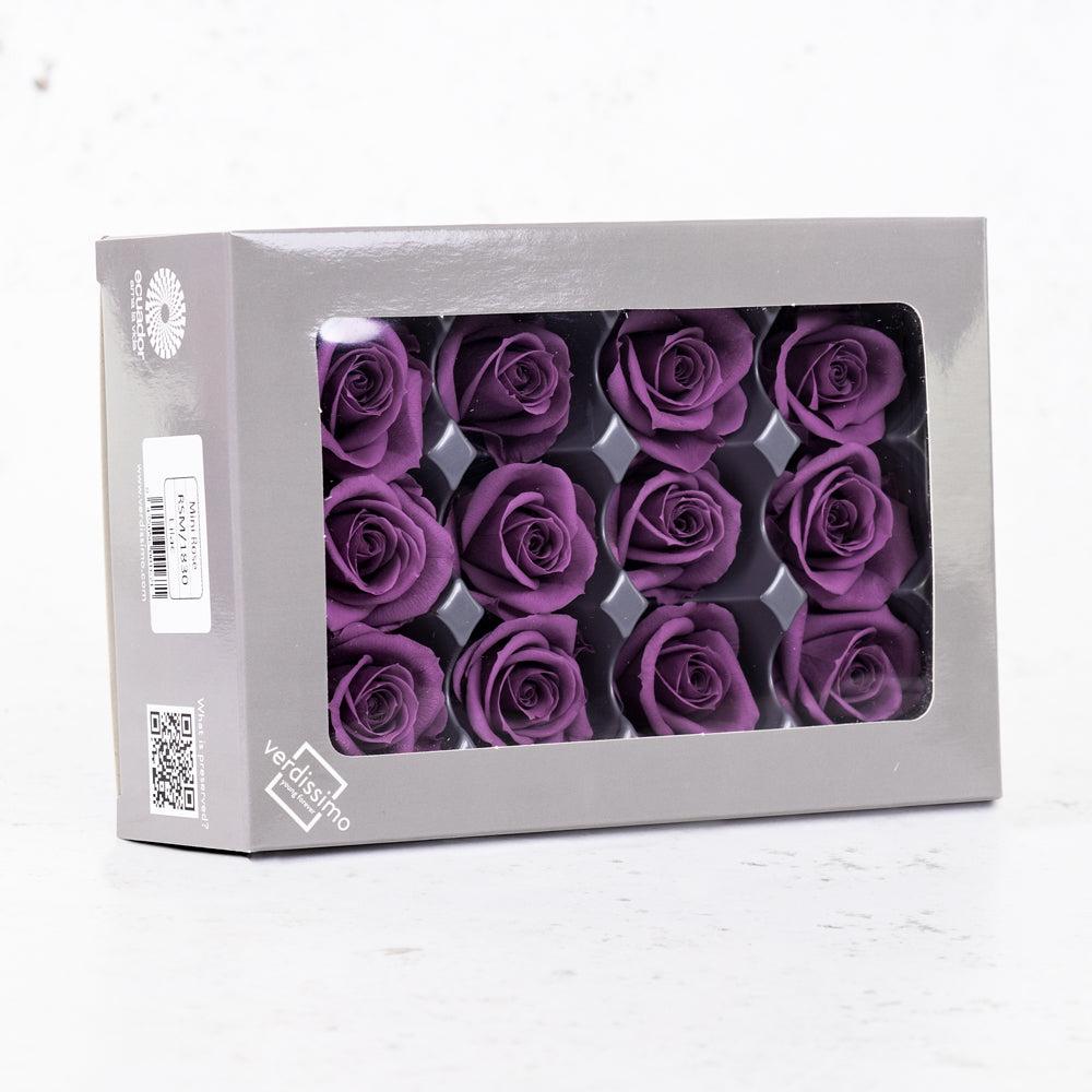 Preserved Roses | Rose Heads, Preserved, Mini, Lilac, Box 12 Preserved Preserved Flowers