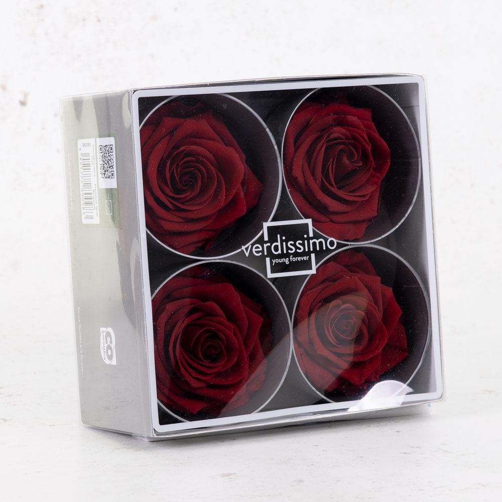 Preserved Roses | Rose Heads, Preserved, Premium, Burgundy, Box 4 Preserved Preserved Flowers