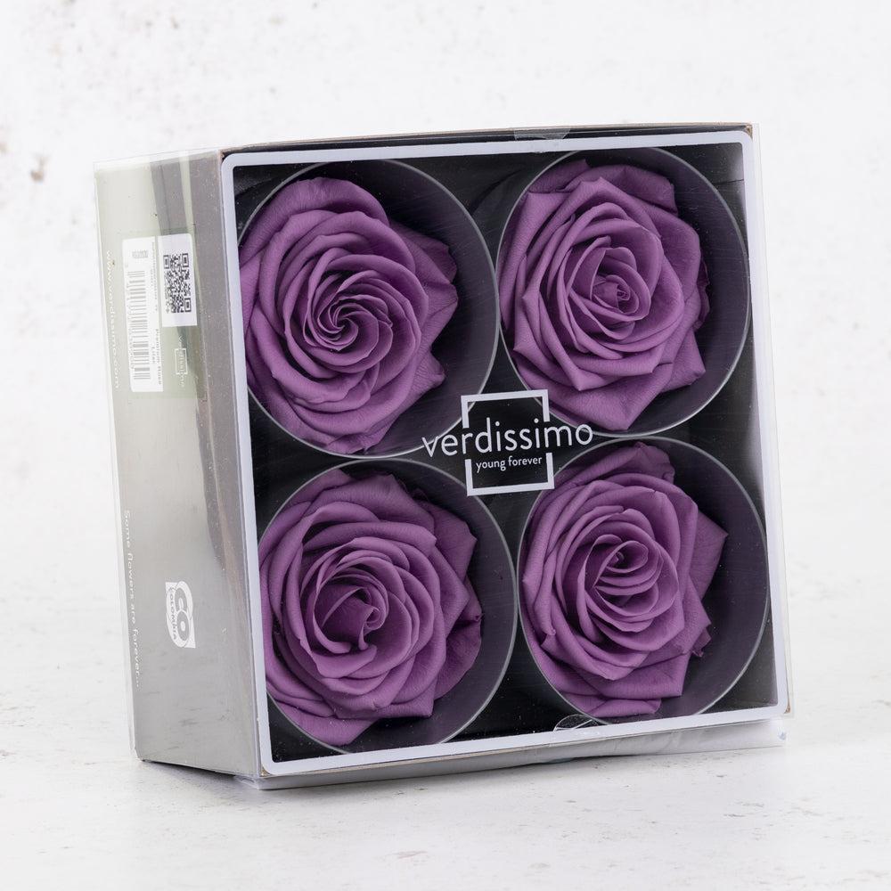 Preserved Roses | Rose Heads, Preserved, Premium, Lilac, Box 4 Preserved Preserved Flowers